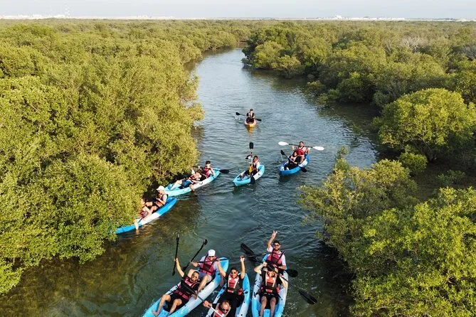 Mangroves Kayaking Adventure